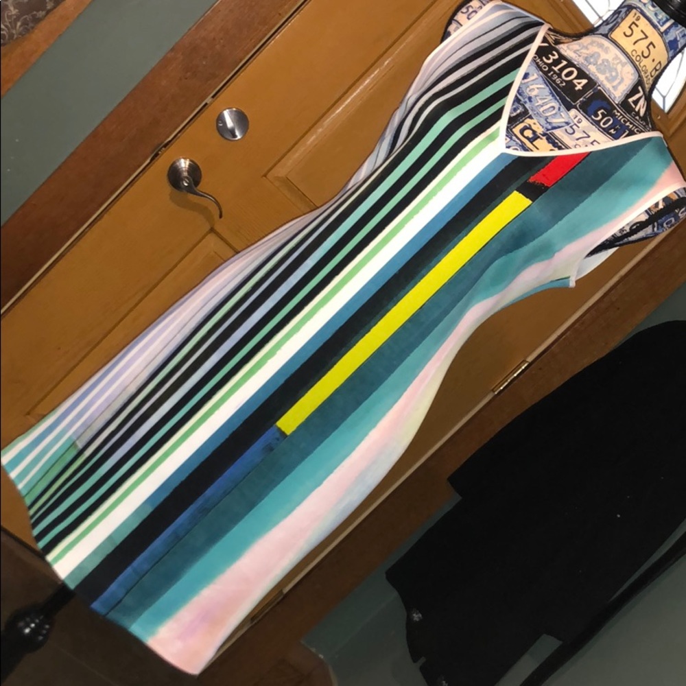 Final price! Clover Canyon striped dress sz L